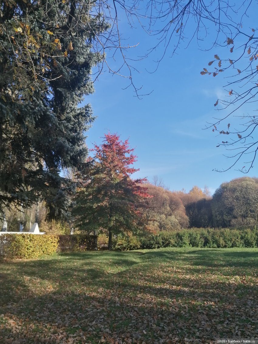 Осень в Измайловском парке, какая она | Бэйбики Осень в Измайловском парке, какая она (фото 7)