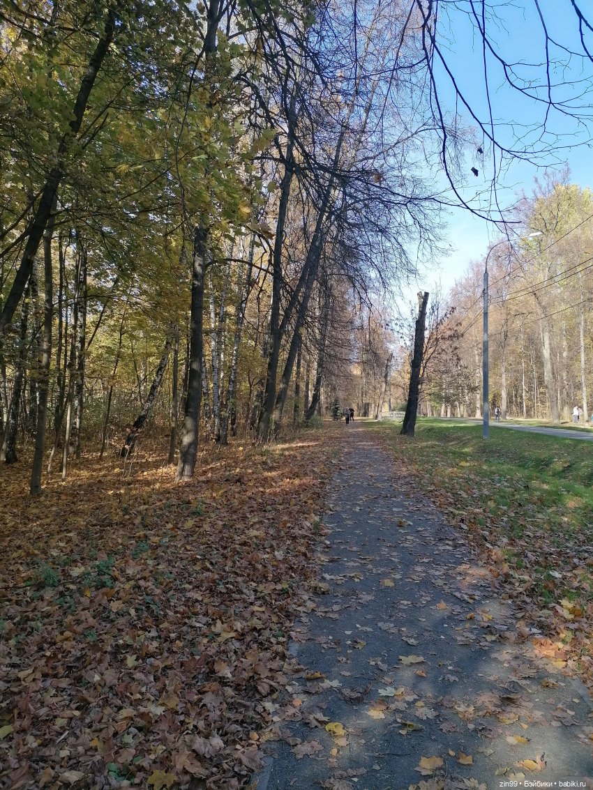 Осень в Измайловском парке, какая она | Бэйбики Осень в Измайловском парке, какая она (фото 4)