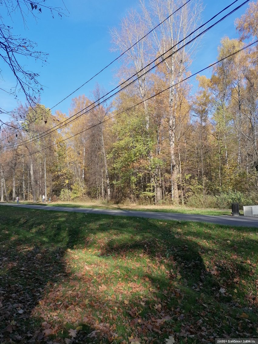 Осень в Измайловском парке, какая она | Бэйбики Осень в Измайловском парке, какая она (фото 3)