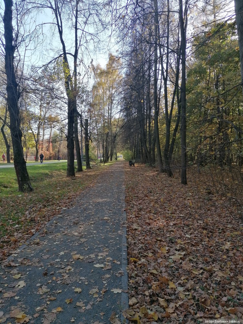 Осень в Измайловском парке, какая она | Бэйбики Осень в Измайловском парке, какая она (фото 2)