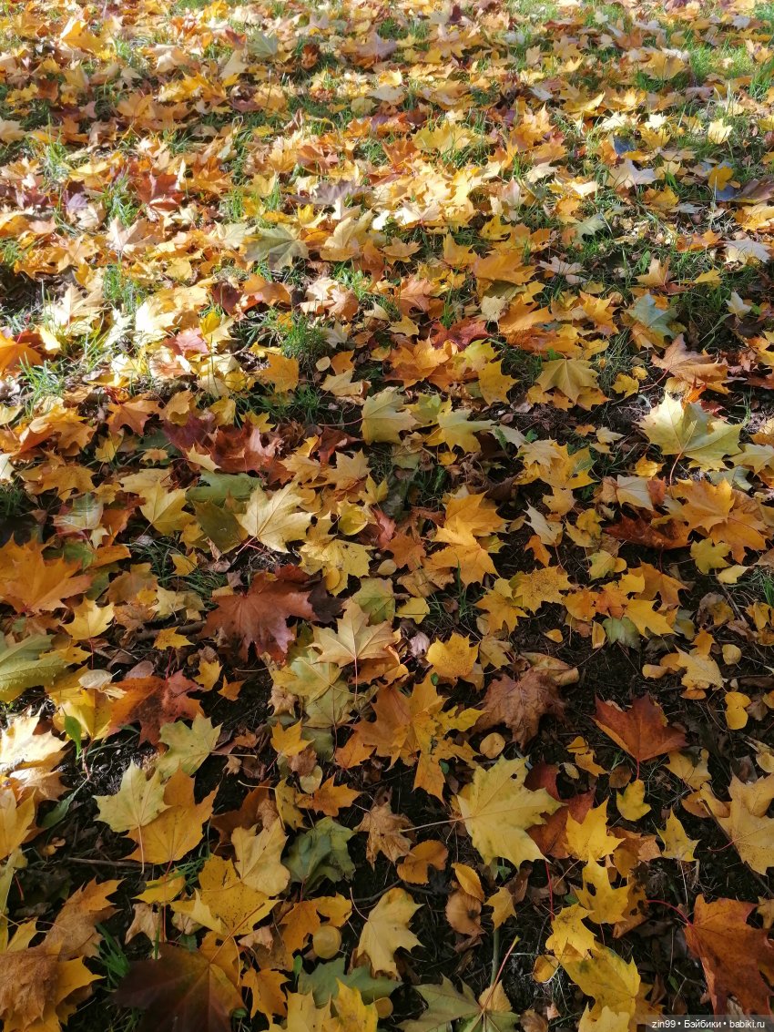 Осень в Измайловском парке, какая она | Бэйбики Осень в Измайловском парке, какая она