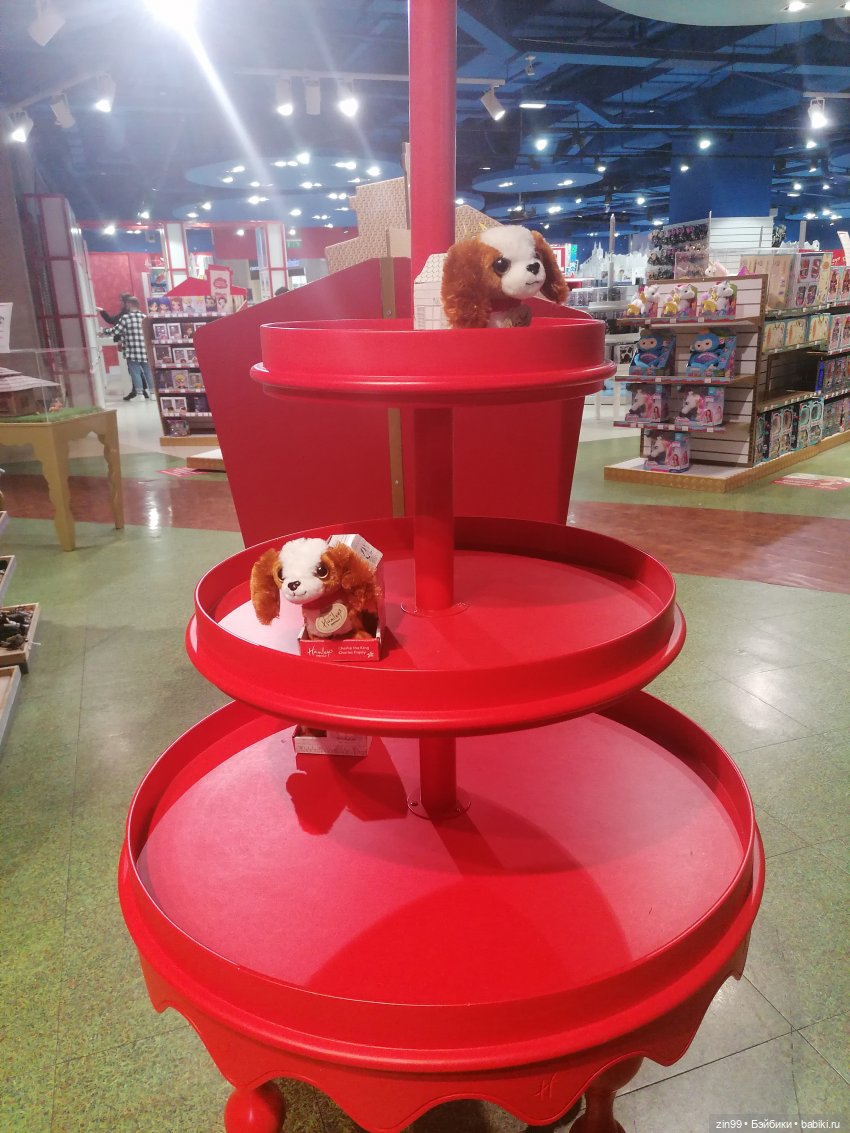 Прогулка в детский магазин в центре Москвы