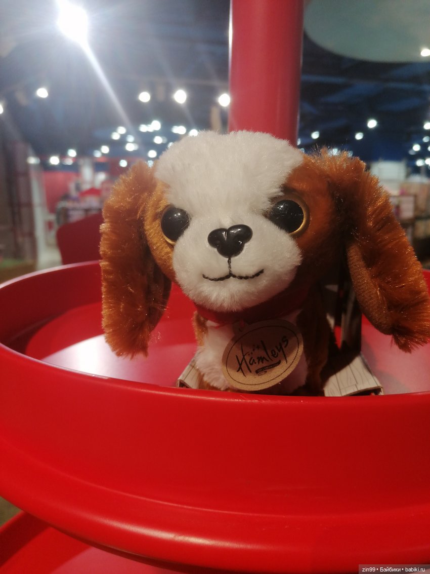 Прогулка в детский магазин в центре Москвы