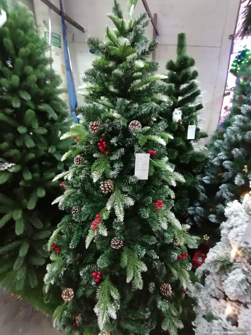 Новогодний Садовод! Или в преддверии Нового года