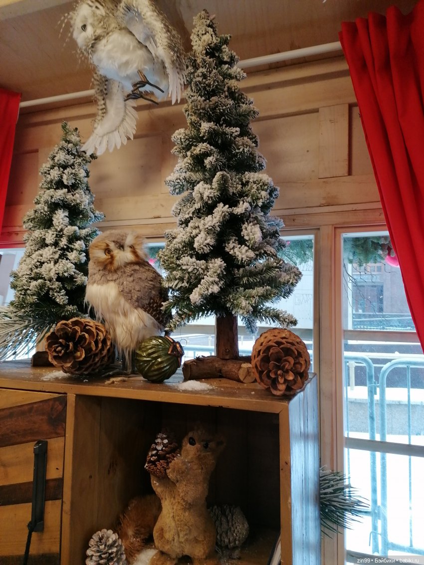 Путешествие в Рождество или Московские каникулы (фото 9)