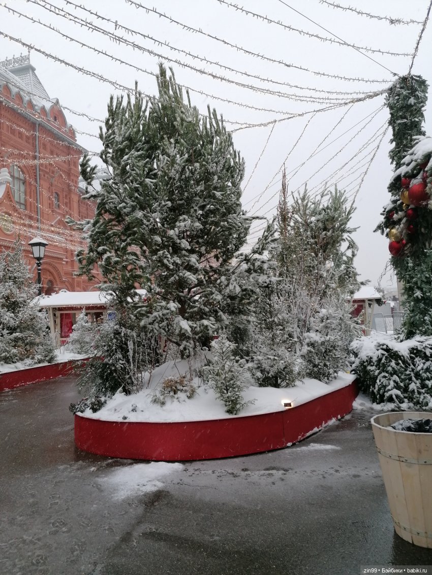 Путешествие в Рождество или Московские каникулы