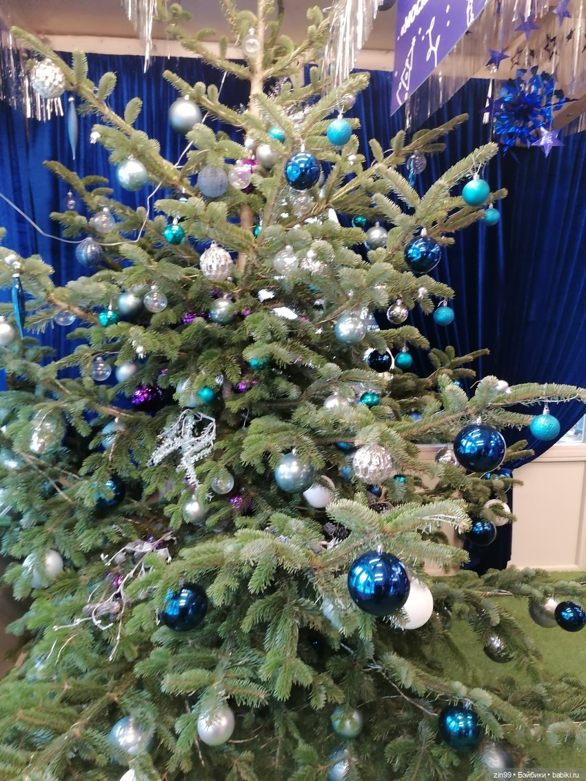 Путешествие в Рождество или Московские каникулы