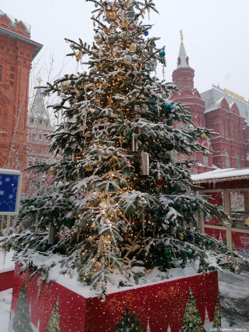 Путешествие в Рождество или Московские каникулы