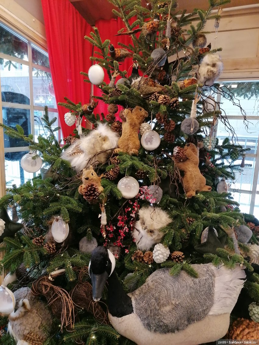 Путешествие в Рождество или Московские каникулы (фото 6)