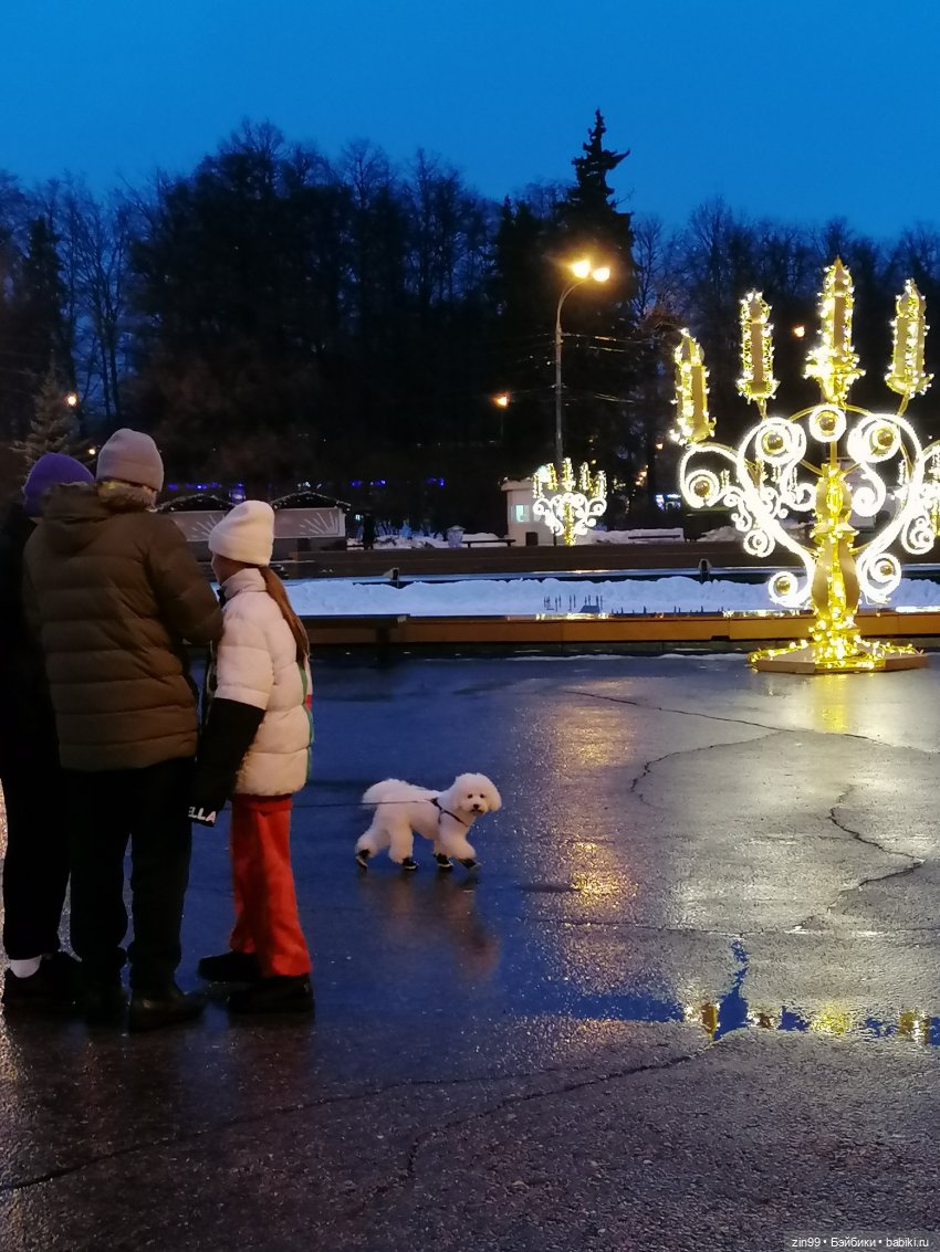 Малышка Джинни и парк Сокольники