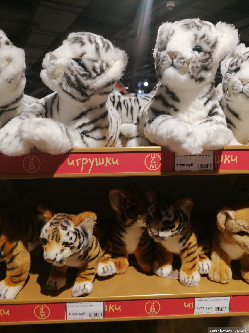 Центральный Детский Магазин в центре Москвы. В марте (фото 6)