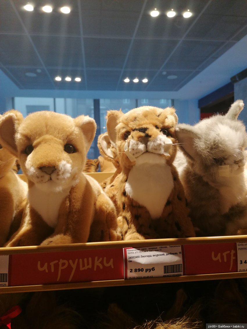 Центральный Детский Магазин в центре Москвы. В марте (фото 4)