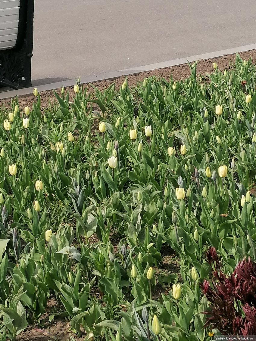 Прогулка на ВДНХ в апреле | Бэйбики Прогулка на ВДНХ в апреле