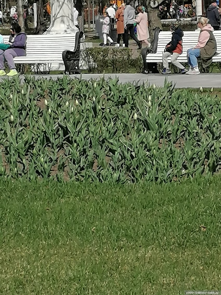 Прогулка на ВДНХ в апреле | Бэйбики Прогулка на ВДНХ в апреле (фото 4)