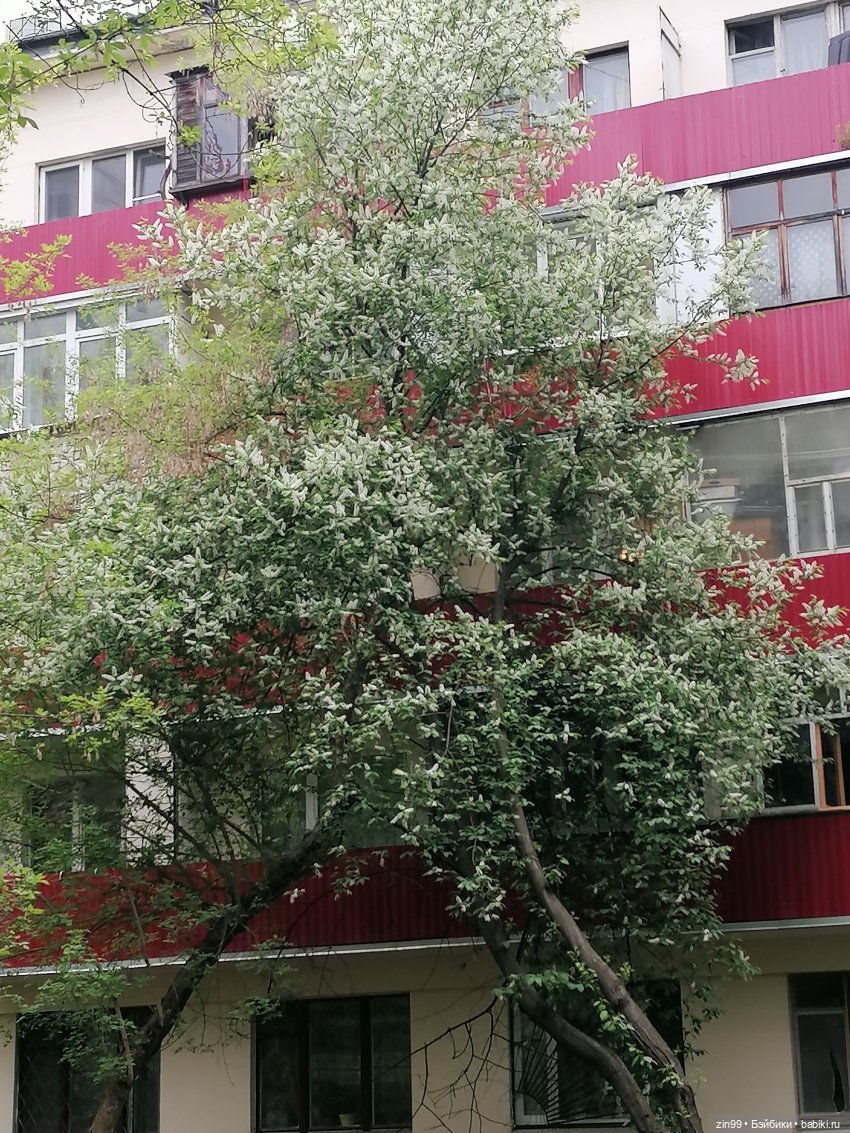 День Рожденья! Нет Юбилей