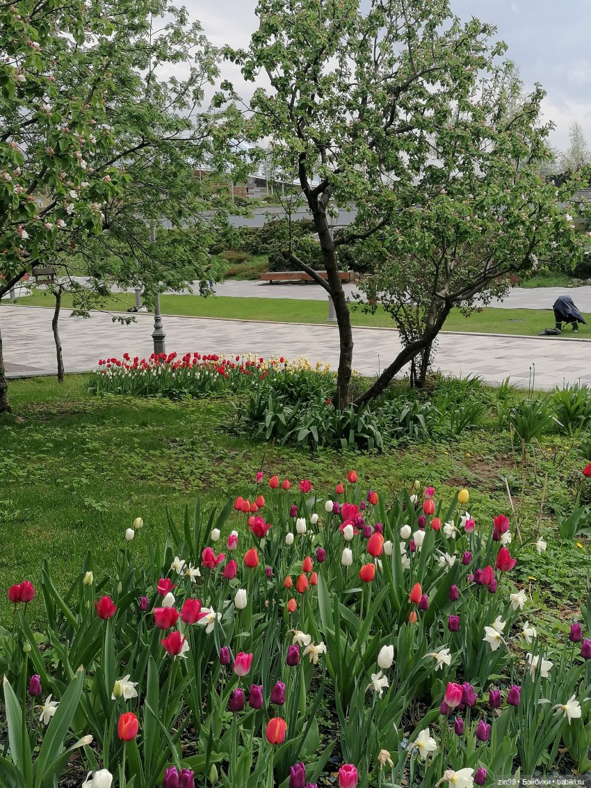 День Рожденья! Нет Юбилей