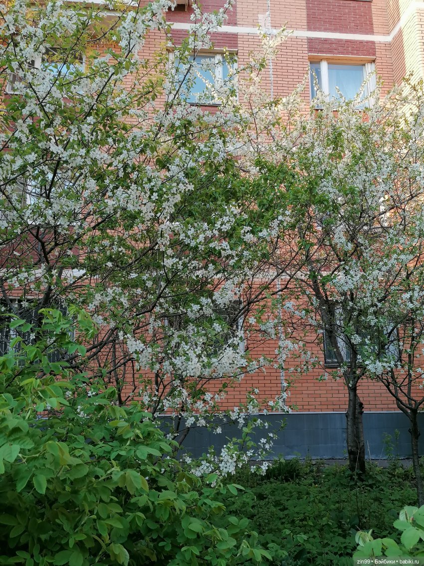 День Рожденья! Нет Юбилей