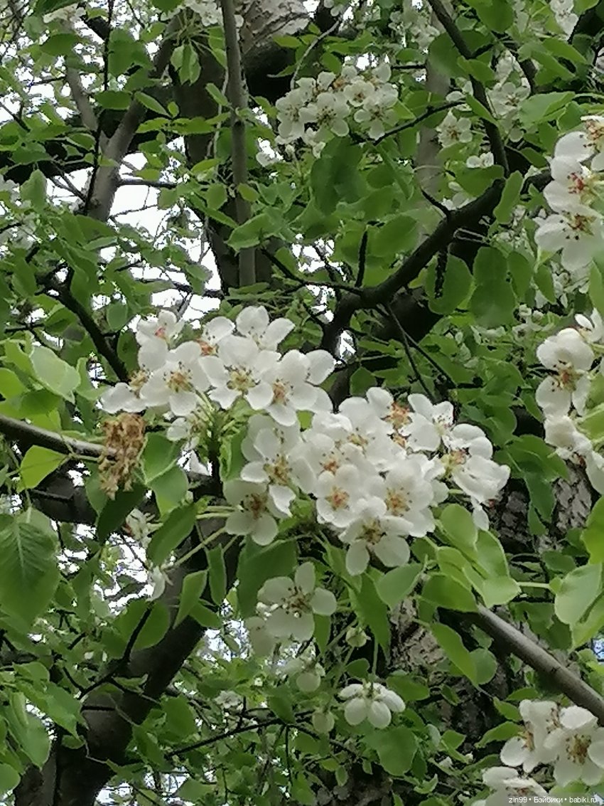 День Рожденья! Нет Юбилей