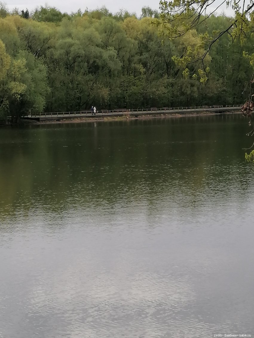 Эми Ванда Rainbow High | Бэйбики Эми Ванда Rainbow High — Куклы Rainbow High (Рейнбоу Хай (фото 2)