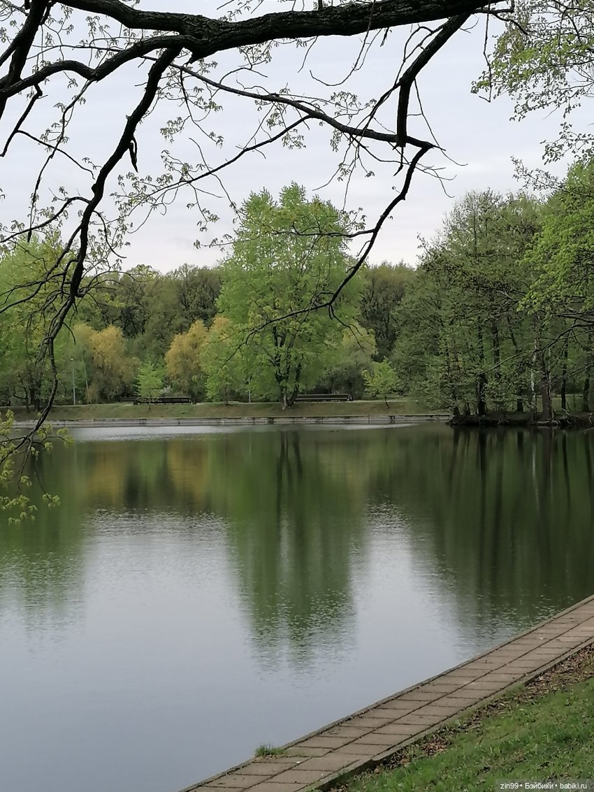 Эми Ванда Rainbow High | Бэйбики Эми Ванда Rainbow High — Куклы Rainbow High (Рейнбоу Хай (фото 3)