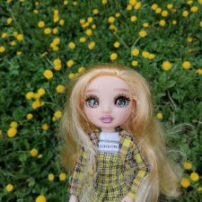 Шерил Мейер Rainbow High!