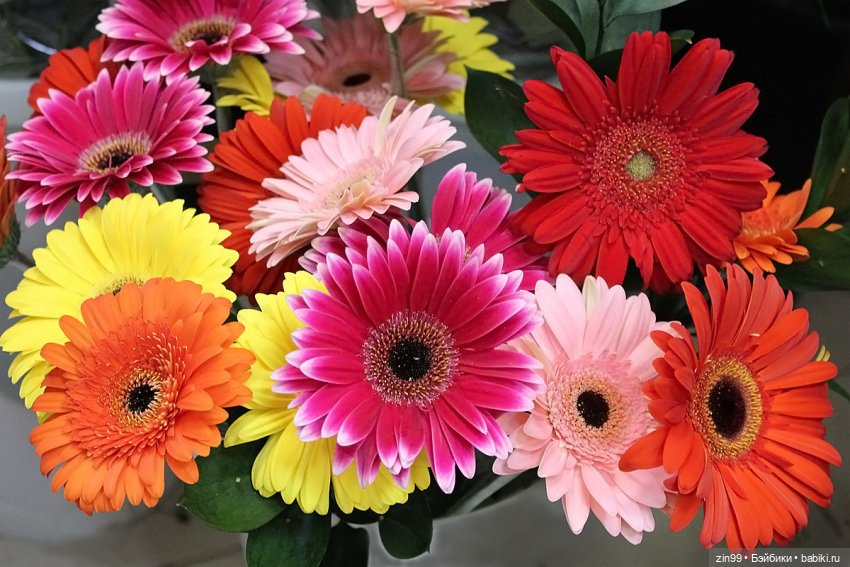 Гербера цветок! Или наряд Гербера для куклы | Бэйбики Гербера цветок! Или наряд Гербера для куклы (фото 3)