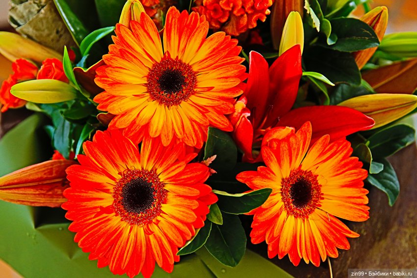 Гербера цветок! Или наряд Гербера для куклы | Бэйбики Гербера цветок! Или наряд Гербера для куклы (фото 5)