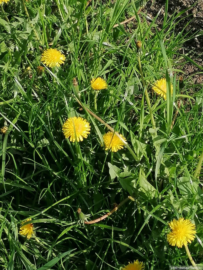 Тиара Сонг Rainbow High | Бэйбики Тиара Сонг Rainbow High — Куклы Rainbow High (Рейнбоу Хай