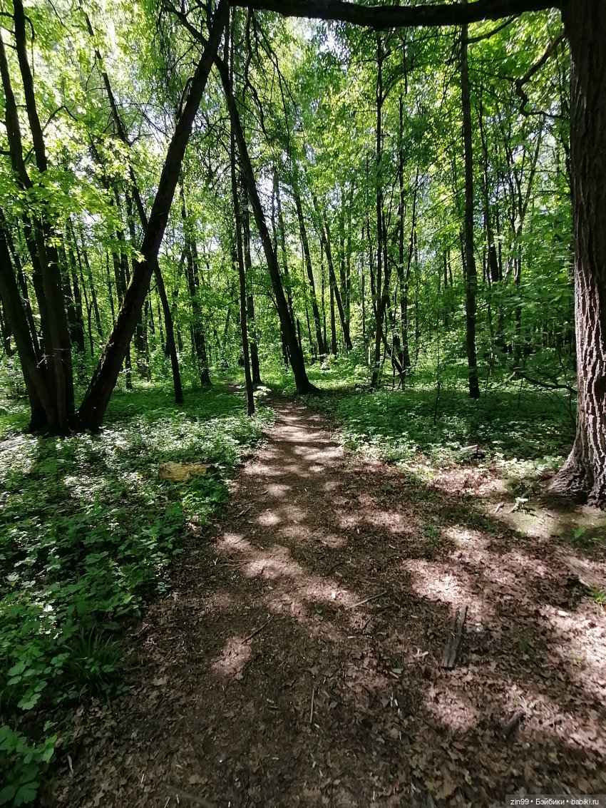 В Измайловский лес с капусткой, за весеннем настроением (фото 8)