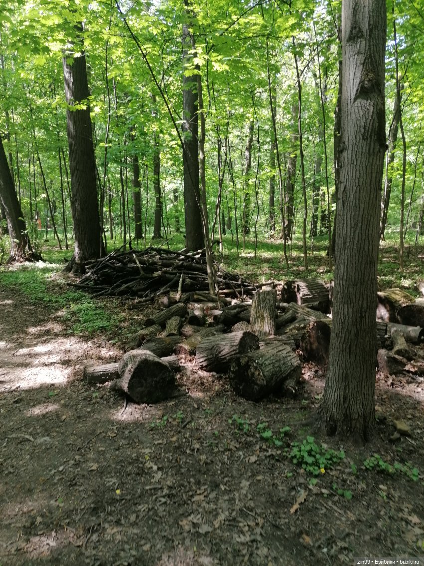 В Измайловский лес с капусткой, за весеннем настроением