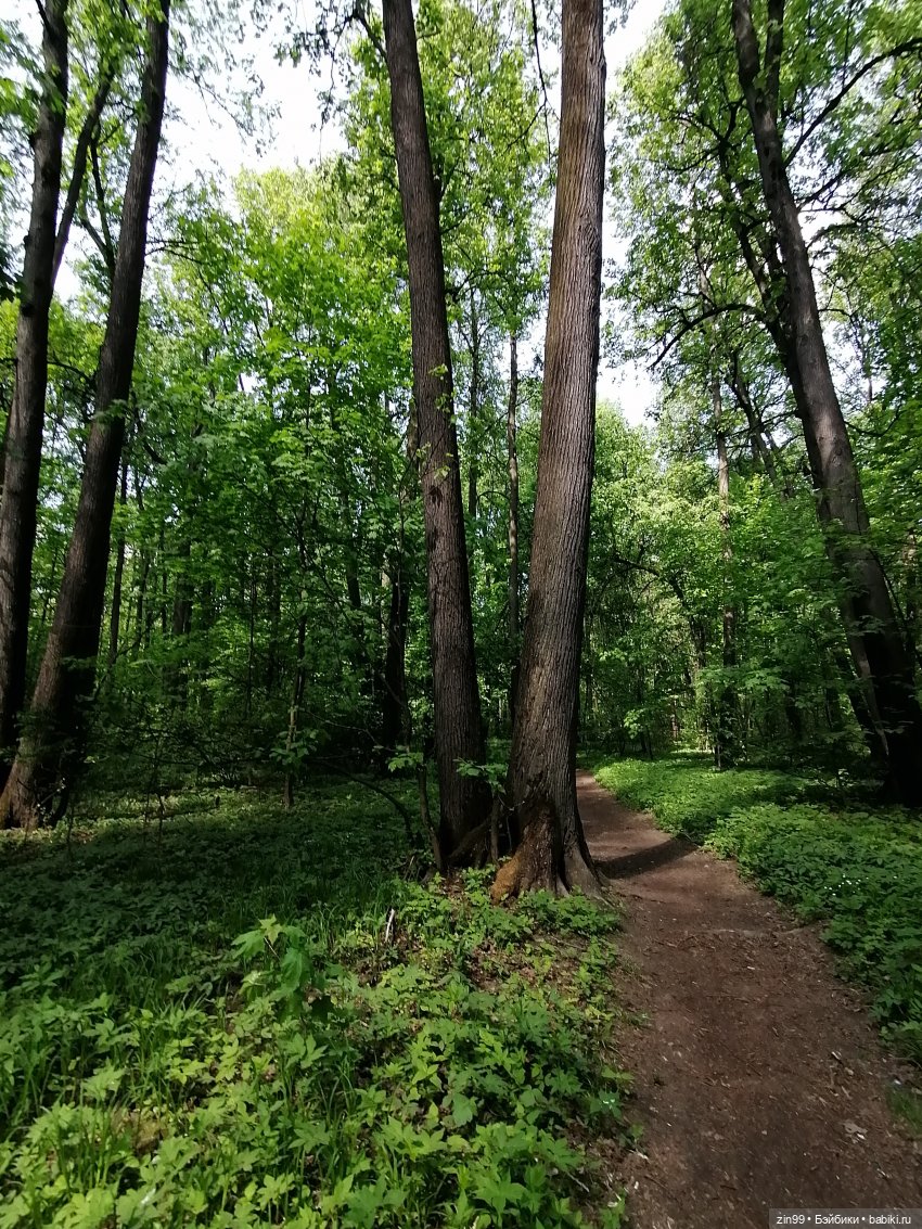 В Измайловский лес с капусткой, за весеннем настроением