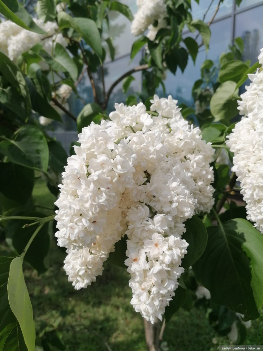 Эйнсли Слэйтер из Shadow High, Rainbow! И прогулка на ВДНХ | Бэйбики Эйнсли Слэйтер из Shadow High, Rainbow! И прогулка на ВДНХ