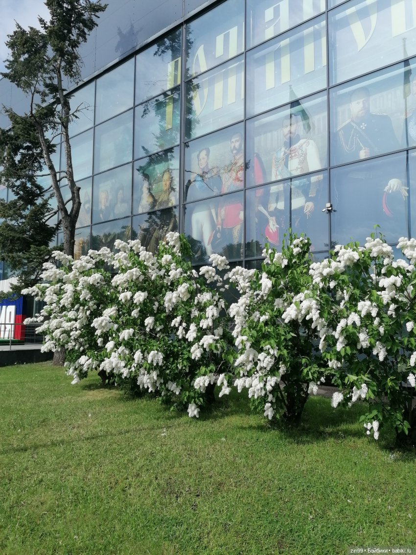 Эйнсли Слэйтер из Shadow High, Rainbow! И прогулка на ВДНХ | Бэйбики Эйнсли Слэйтер из Shadow High, Rainbow! И прогулка на ВДНХ