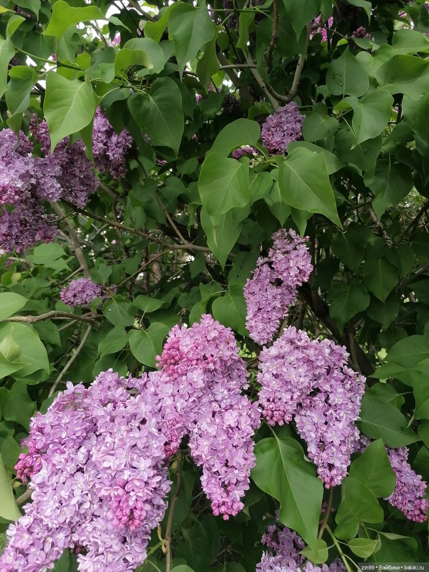 Эйнсли Слэйтер из Shadow High, Rainbow! И прогулка на ВДНХ | Бэйбики Эйнсли Слэйтер из Shadow High, Rainbow! И прогулка на ВДНХ