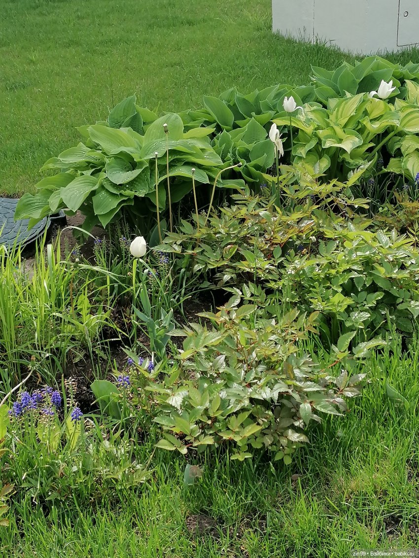 Эйнсли Слэйтер из Shadow High, Rainbow! И прогулка на ВДНХ | Бэйбики Эйнсли Слэйтер из Shadow High, Rainbow! И прогулка на ВДНХ