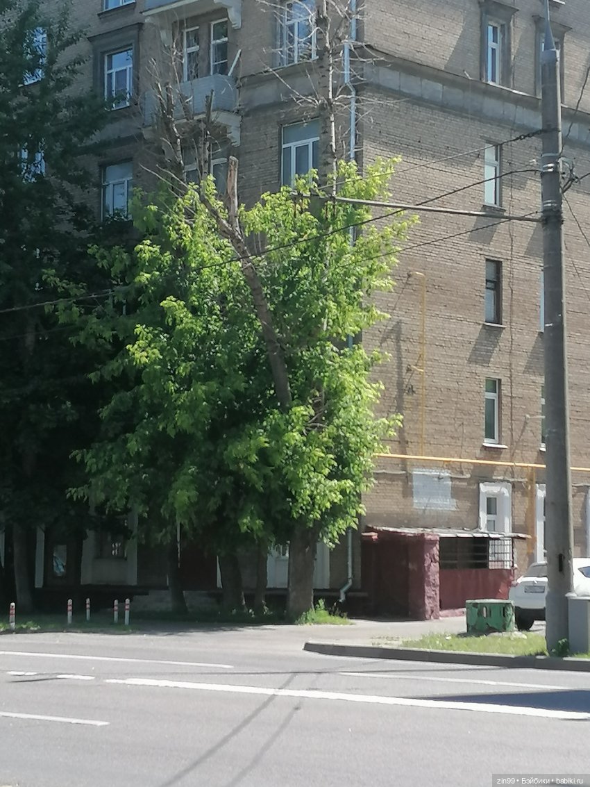 Самая красивая и с пластырем | Бэйбики Самая красивая и с пластырем (фото 3)