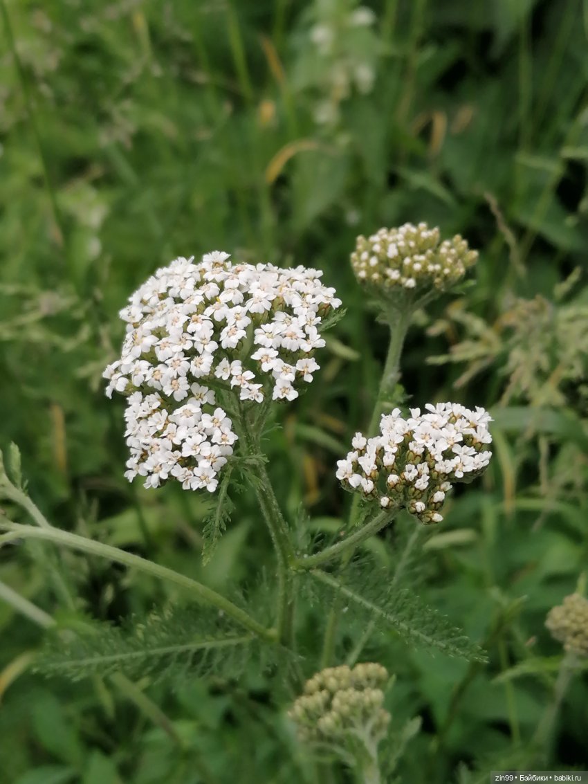 Прогулка в Кусково с куклами Rainbow High