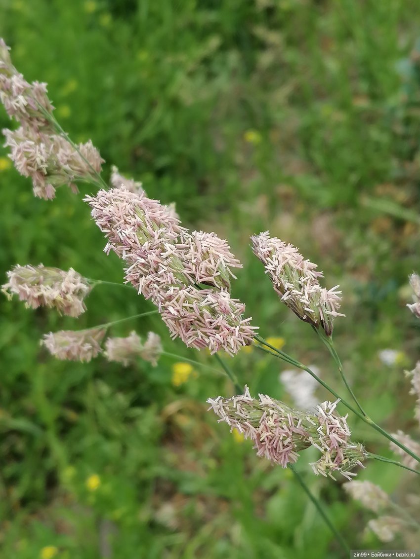 Прогулка в Кусково с куклами Rainbow High