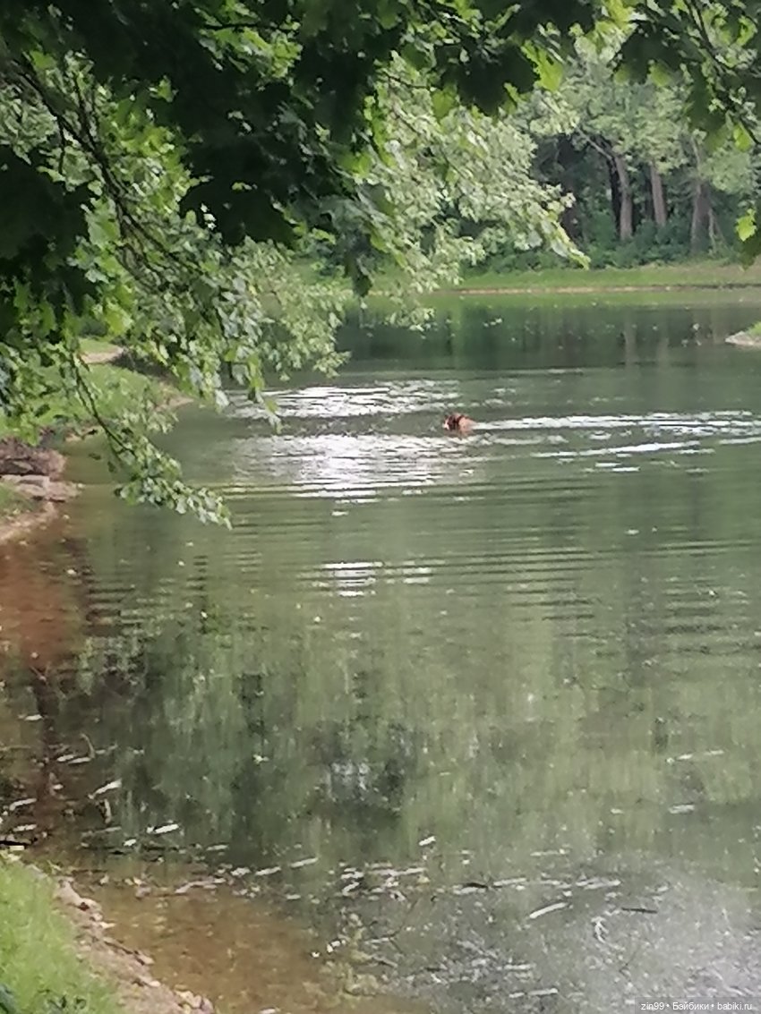 Прогулка в Кусково с куклами Rainbow High