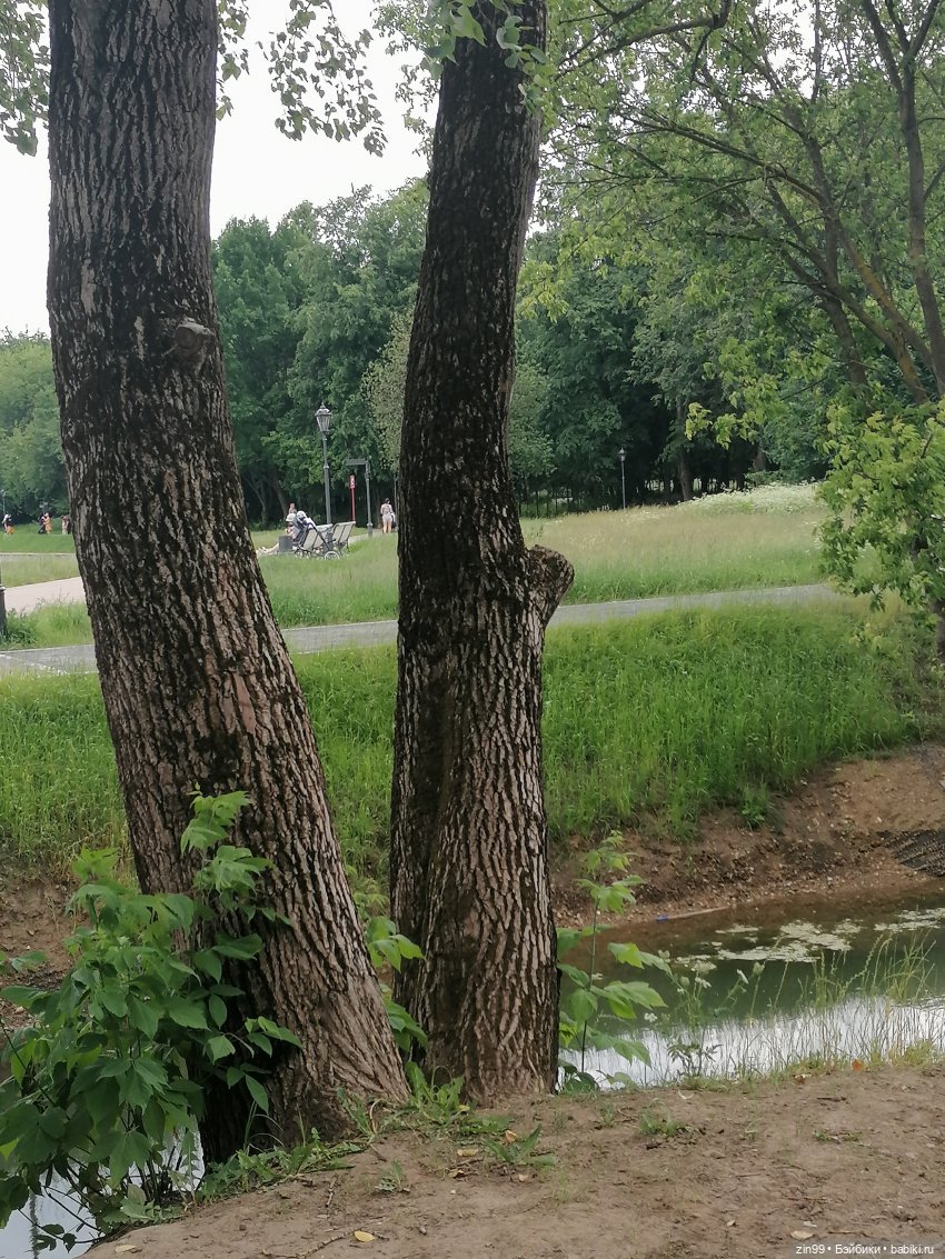 Прогулка в Кусково с куклами Rainbow High