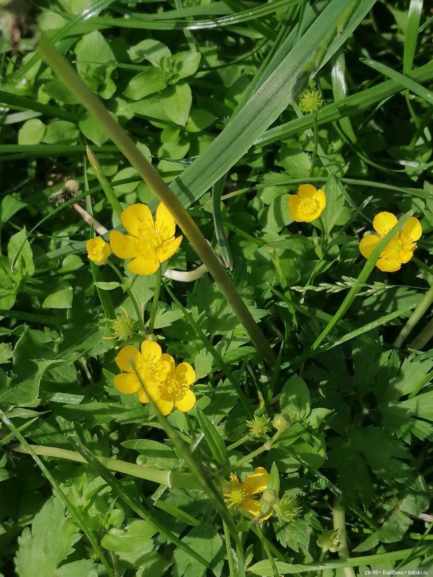 Коко Вандербалт Rainbow High