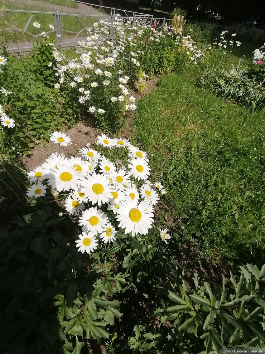 Коко Вандербалт Rainbow High