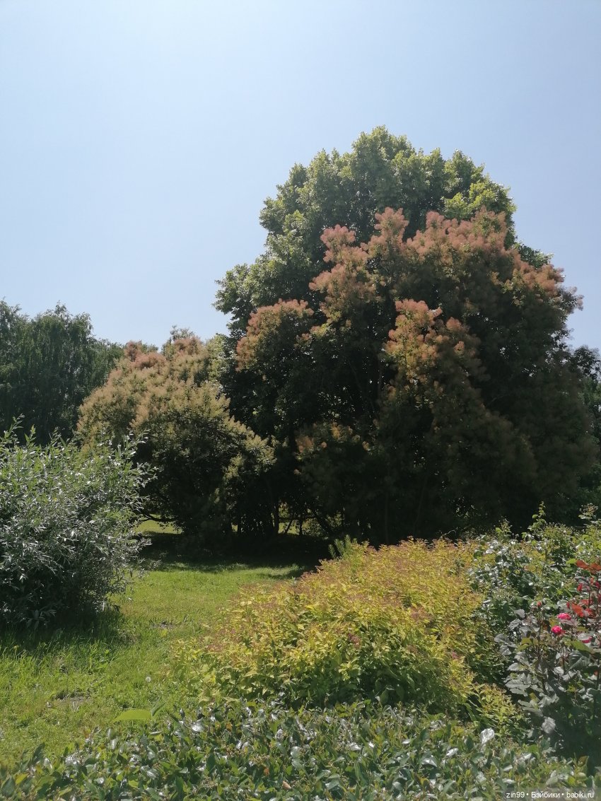 Куклы Ллоренс и Ботанический сад им.Н.В. Цицина