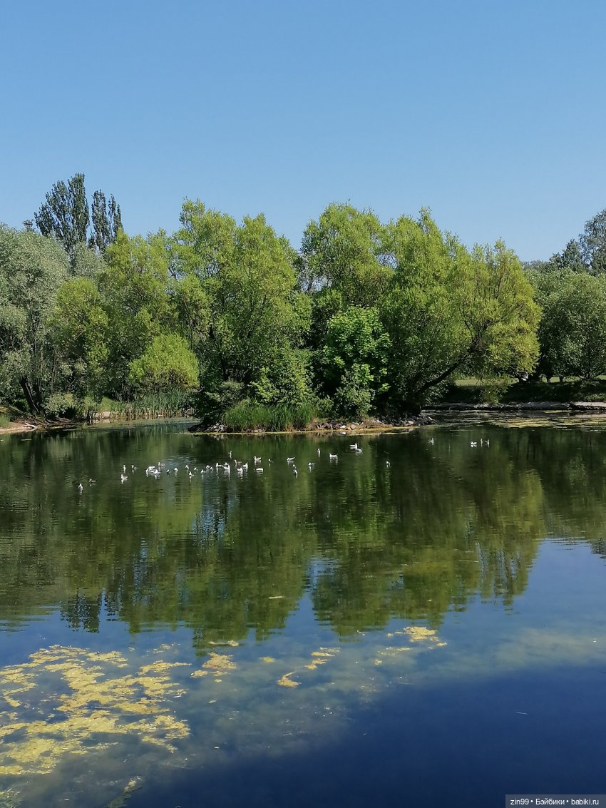Куклы Ллоренс и Ботанический сад им.Н.В. Цицина