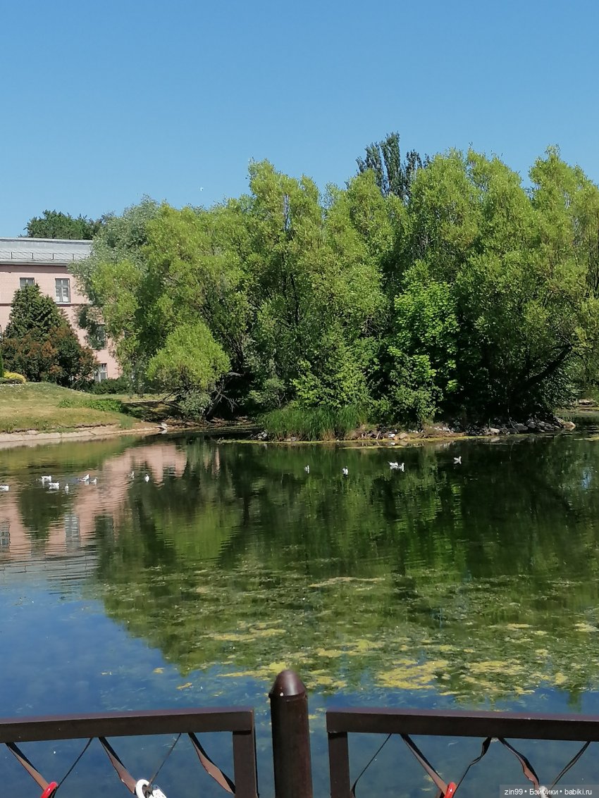 Куклы Ллоренс и Ботанический сад им.Н.В. Цицина