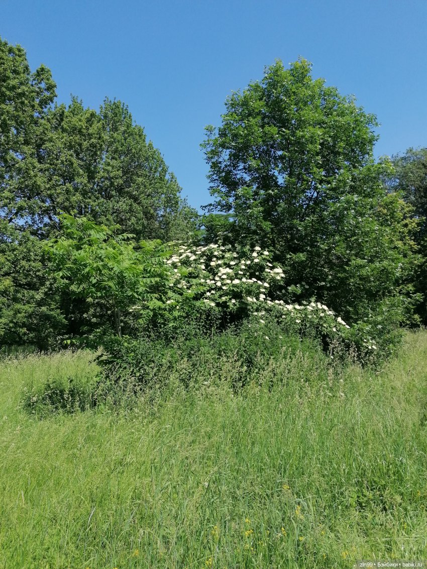 Куклы Ллоренс и Ботанический сад им.Н.В. Цицина