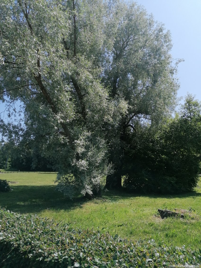 Куклы Ллоренс и Ботанический сад им.Н.В. Цицина