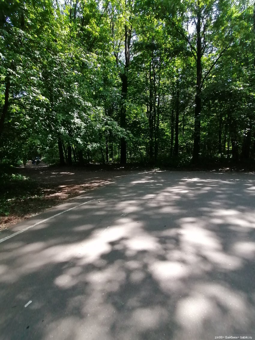 Куклы Ллоренс и Ботанический сад им.Н.В. Цицина