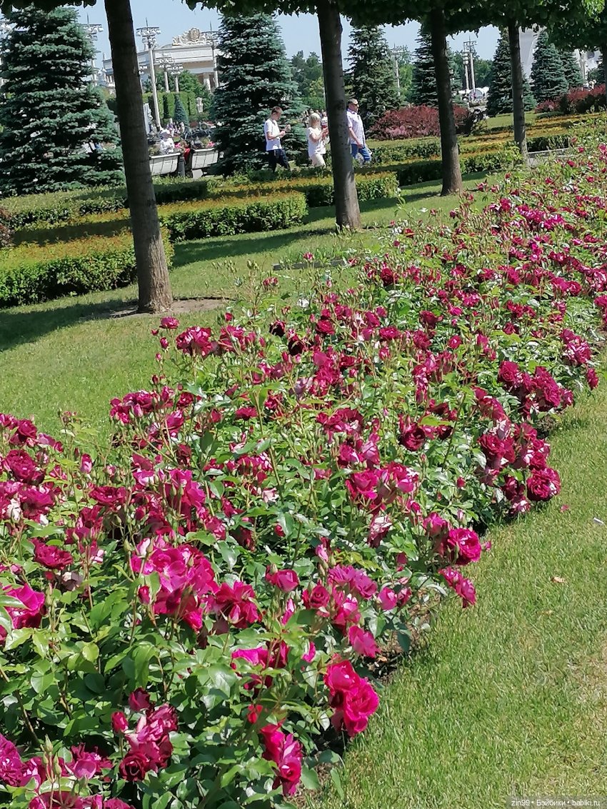 Куклы Ллоренс и прогулка по ВДНХ в июне 2023 года