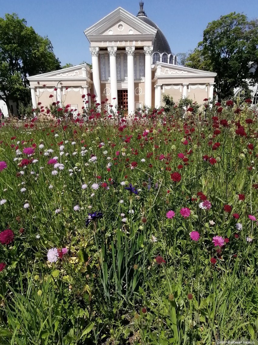 Куклы Ллоренс и прогулка по ВДНХ в июне 2023 года